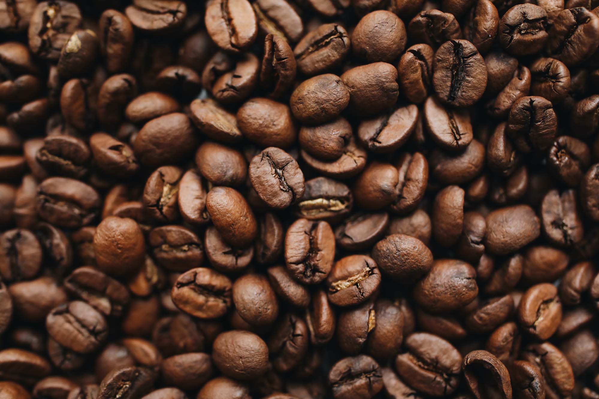Granos de café de origen